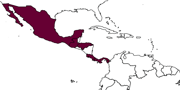 map of Azteca gnava     Forel, 1906